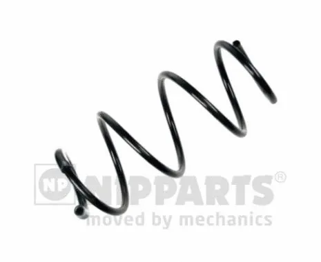 Suspension Spring (N5541089)