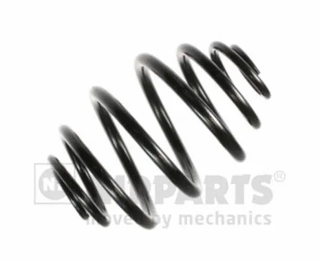 Suspension Spring (N5550902)