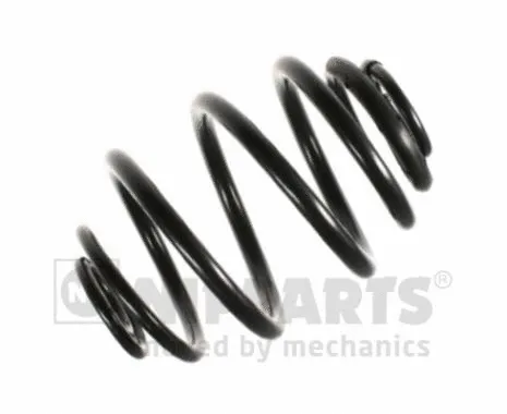 Suspension Spring (N5550907)