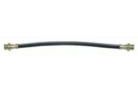 Brake Hose (N3700569)