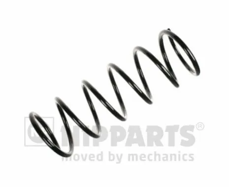 Suspension Spring (N5542211)