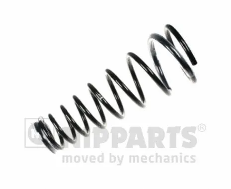 Suspension Spring (N5541107)