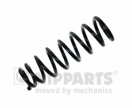Suspension Spring (N5544097)