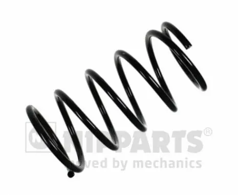 Suspension Spring (N5545053)