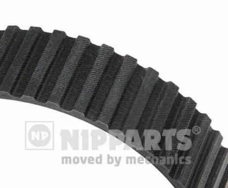 Timing Belt (J1122029)