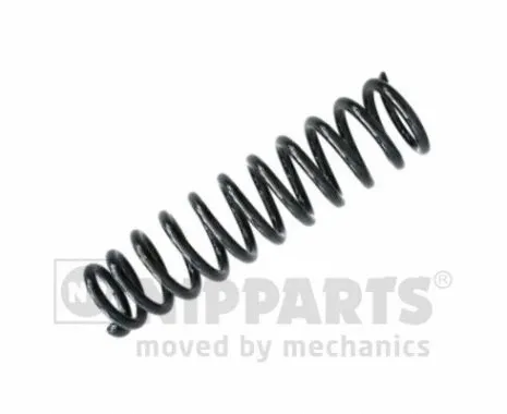 Suspension Spring (N5544026)