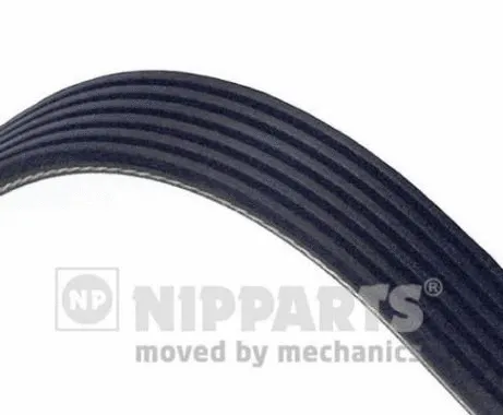 V-Ribbed Belt (N1061245)