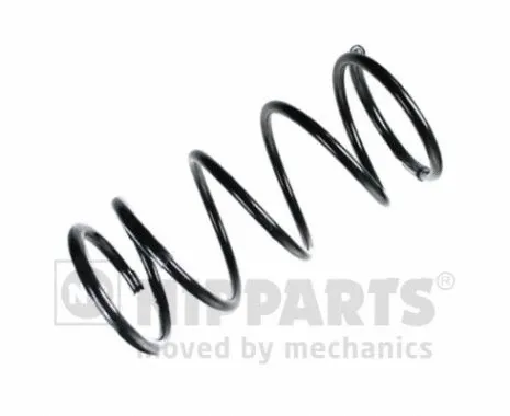 Suspension Spring (N5541120)