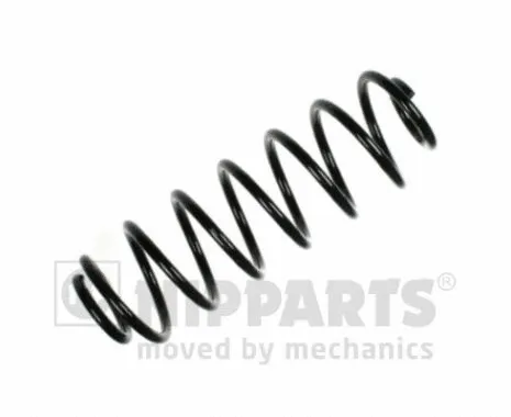 Suspension Spring (N5553042)