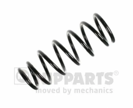 Suspension Spring (N5551070)