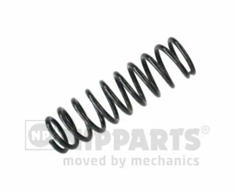 Suspension Spring (N5554009)