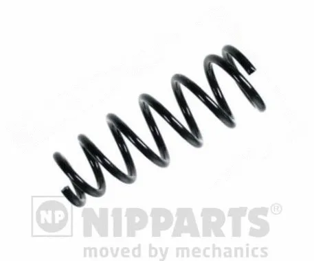 Suspension Spring (N5552113)