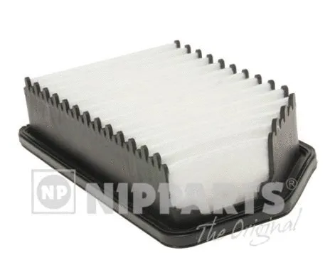 Air Filter (N1320537)