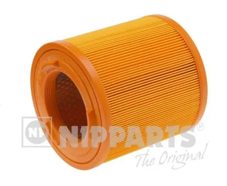 Air Filter (N1321071)
