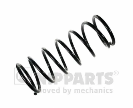 Suspension Spring (N5555014)