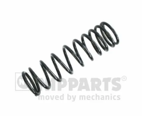 Suspension Spring (N5554012)
