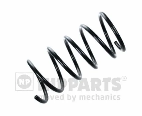 Suspension Spring (N5543065)