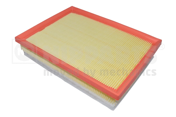 Air Filter (N1322136)