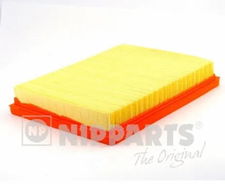 Air Filter (N1320325)
