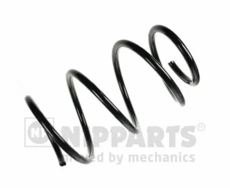 Suspension Spring (N5541131)