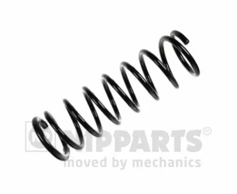Suspension Spring (N5551066)
