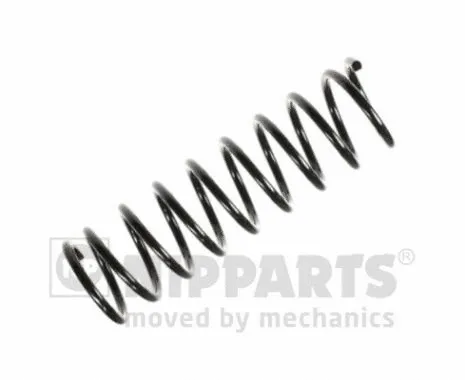 Suspension Spring (N5553007)