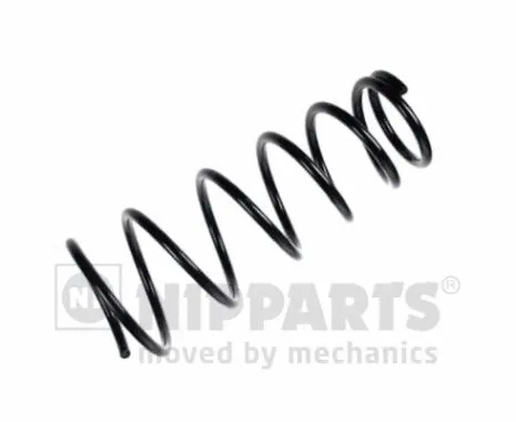 Suspension Spring (N5553013)