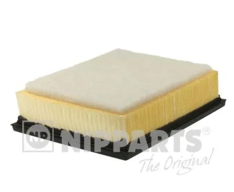 Air Filter (N1329021)