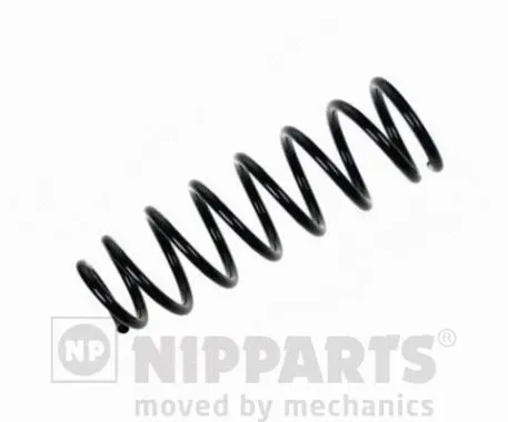 Suspension Spring (N5552105)