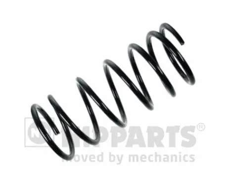 Suspension Spring (N5555051)
