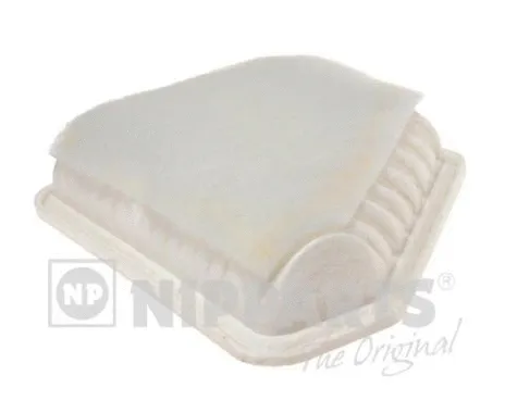 Air Filter (N1322109)