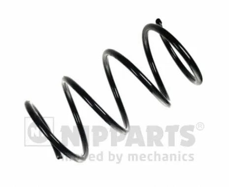 Suspension Spring (N5545059)