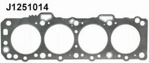 Gasket, cylinder head (J1251014)
