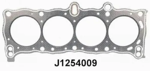 Gasket, cylinder head (J1254009)