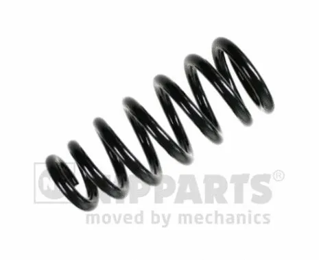 Suspension Spring (N5545086)