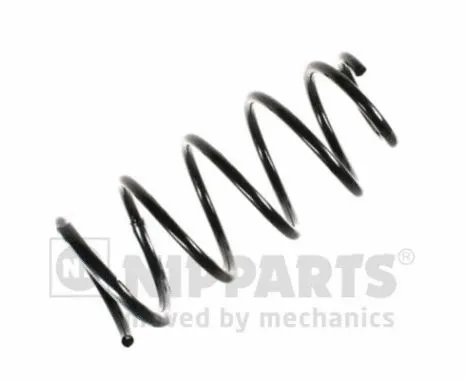 Suspension Spring (N5541013)