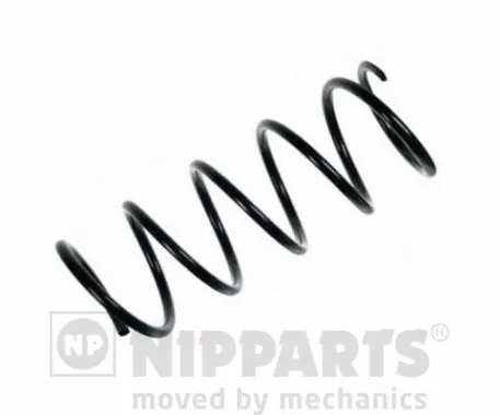 Suspension Spring (N5542080)