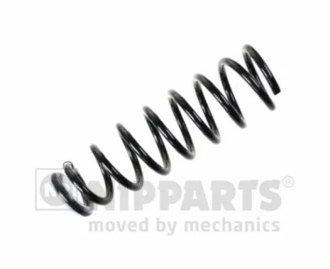 Suspension Spring (N5543080)