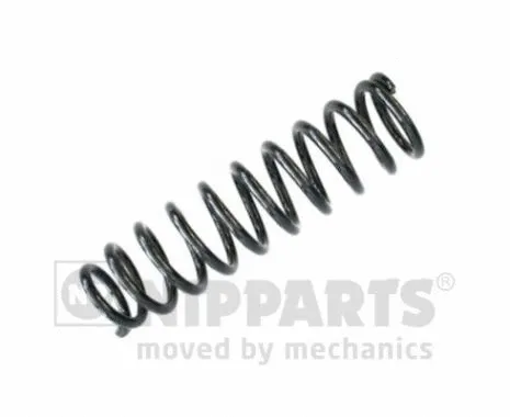 Suspension Spring (N5544016)