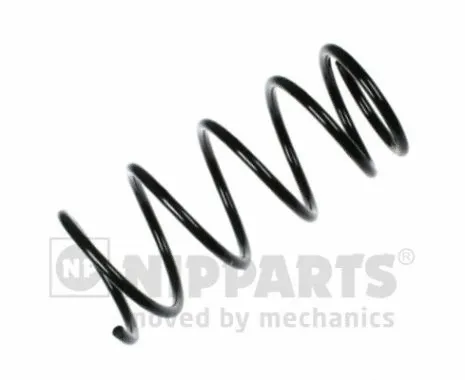 Suspension Spring (N5542060)