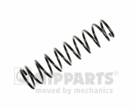 Suspension Spring (N5555020)