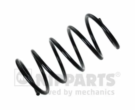 Suspension Spring (N5540546)