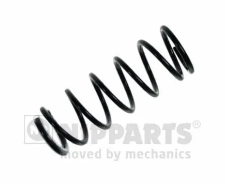 Suspension Spring (N5551025)