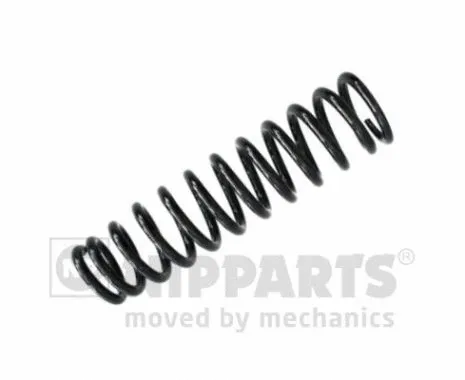 Suspension Spring (N5544010)