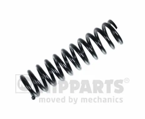 Suspension Spring (N5544012)
