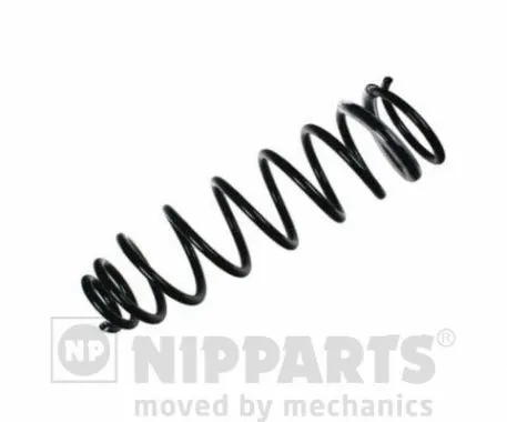 Suspension Spring (N5555048)