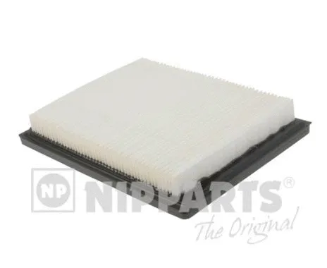 Air Filter (N1321072)