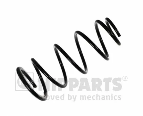 Suspension Spring (N5541044)