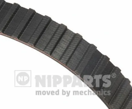 Timing Belt (J1125013)