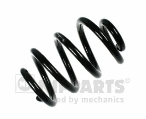 Suspension Spring (N5541160)